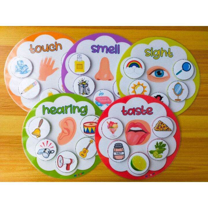 5 SENSES SORTING WORKSHEET SET/ LEARNING MATERIALS FOR KIDS | Lazada PH