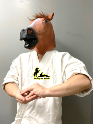 (พร้อมส่ง)หน้ากากแฟนซี หน้ากากสัตว์ หน้ากากม้า Horse mask