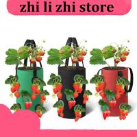 zhilizhi Store 3 Gal 12 Holes Strawberry Grow Pot Bags Plants Flower Tomato Growing Garden Wall Hanging Vegetable Root Planting Her