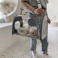 out portable package transparent charter carrying pet cat breathable capsule backpack laptop worn cage