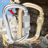 45KN D-shaped Load-bearing Climbing Main Lock for Mountaineering Wear-resistant Durable Safety Buckle