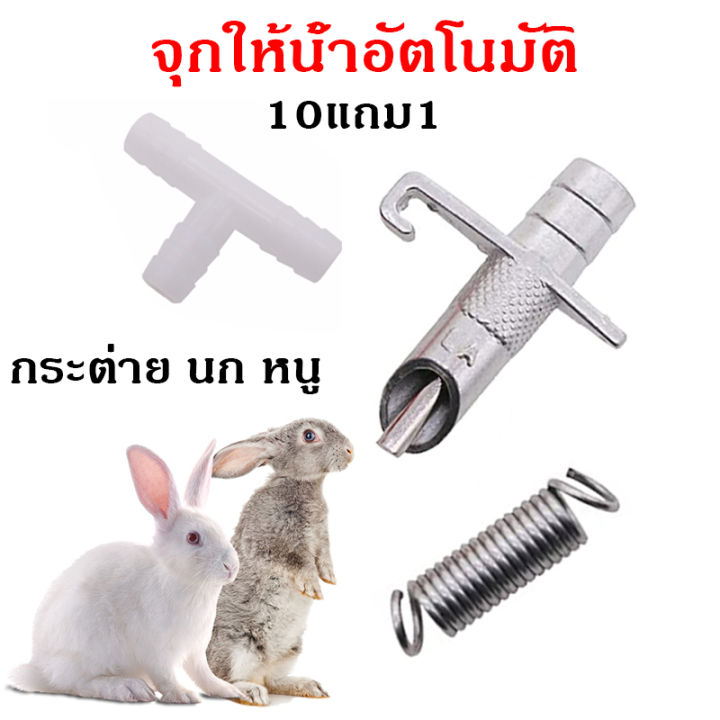 10-แถม-1-จุกให้น้ำอัตโนมัติ-หัวให้น้ำนกอัตโนมัติ-หัวให้น้ำหนูอัตโนมัติ-หัวจ่ายน้ำหนู-หัวจ่ายน้ำนก-กระต่าย-แข็งแรง-ราคาถูกๆ