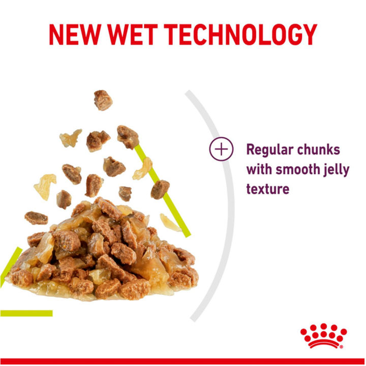 royal-canin-sensory-smell-chunks-in-jelly-85g-x12-อาหารเปียก-สำหรับแมวโตช่างเลือก-กระตุ้นการกินด้วยกลิ่นหอมเฉพาะ