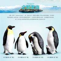 Play music Antarctic arctic simulation animal model of penguins sea lions beaver seals polar bear water lazy childrens toys