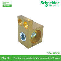 Schneider Electric SDALUG50 อุปกรณ์เสริมสำหรับตู้คอนซูมเมอร์ยูนิต Terminal Lug ขนาดใหญ่สำหรับสายไฟขนาด 30-50 ตร.มม สั่งซื้อได้ที่ร้าน PlugOn