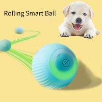 ✁■▬ Automatic Rolling Ball Dog Toy