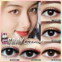 สุ่มลาย คอนแทคเลนส์ ? Gray สีเทา ? ? บิ๊กอาย สุดปัง คอนแทคเลนส์ รายเดือน มีอย แถมตลับฟรี เลนส์นิ่ม สวยปังมาก