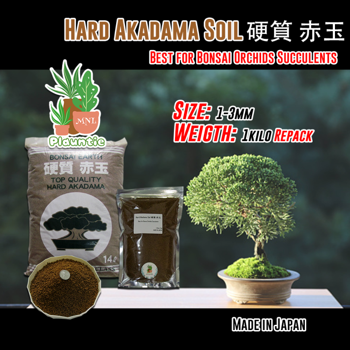 Triple Line Akadama Soil (Premium Quality) for Bonsai, cactus and succulents 1kg Lazada PH