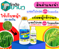 ? ชุดเก็บหญ้า (แซดโปร36+โกลอะนิล) ขนาด 1ลิตร+500ซีซี เก่งหญ้าข้าวนก