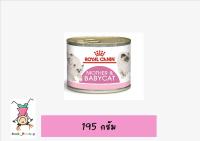 Royal Canin Babycat ชนิดกระป๋อง 195 gm (12กระป๋อง)