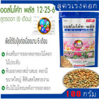 ออสโมโค้ทพลัส 12 -25-6+1% แบบซอง (ขนาด 100กรัม) ไม้อวบน้ำ กุหลาบหิน cactus&amp;succulent