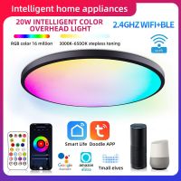 ZZOOI Tuya WiFi Smart Ceiling Lights RGBCW Dimmable LED Lights Modern Lamp Smart Life Voice Control for Alexa Google Home Decor