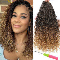 1- 6 Packs Ombre ids Crochet ids Curly Ends 1B 30 27 613 Bug 10 Colors Goddess ids Crochet Hair 16 StrandsPack