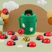 [COD] Cross-border counting beetle toys p0.4 kindergarten childrens digital enlightenment learning insect decorations