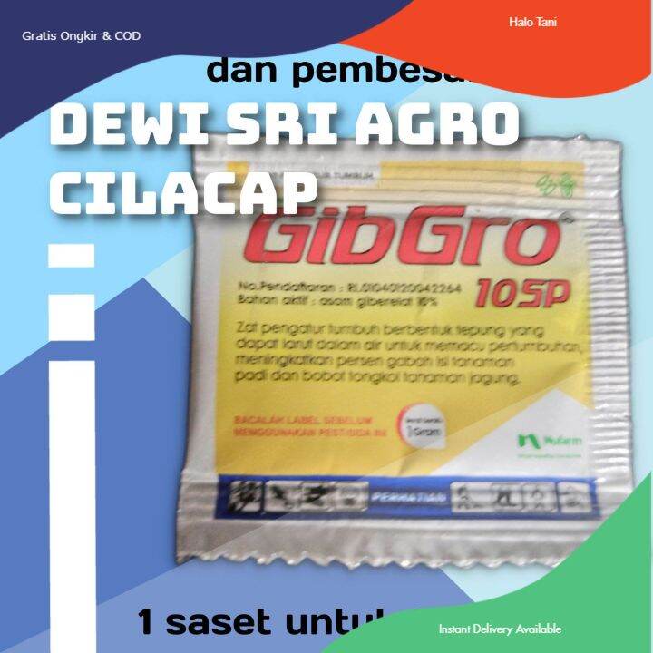 Zat Pengatur Tumbuh Gibgro 10 SP Kemasan 1 Gram | Lazada Indonesia