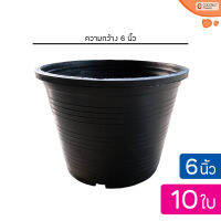 กระถาง 6 นิ้ว แพ็ค 10 ใบ | กระถางต้นไม้พลาสติกกลม สีดำ