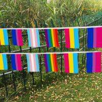 Rainbow Pride Bunting 33ft Progress Pride String Banners เครื่องประดับสำหรับงานปาร์ตี้ในร่มกลางแจ้ง Garden Yard