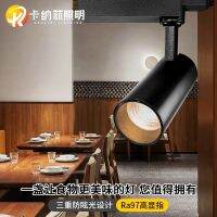 ▽♣  Connor Philippines hotel restaurant more anti-glare led track store concentrated cob light