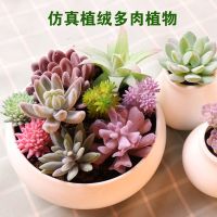 (Baixiang Flower City)   ☍ↂ Simulation More Meat Plant New Fake Meat Is Superior More Realistic Flocking Fake Green Plant Wall Potted Desk Green Plant