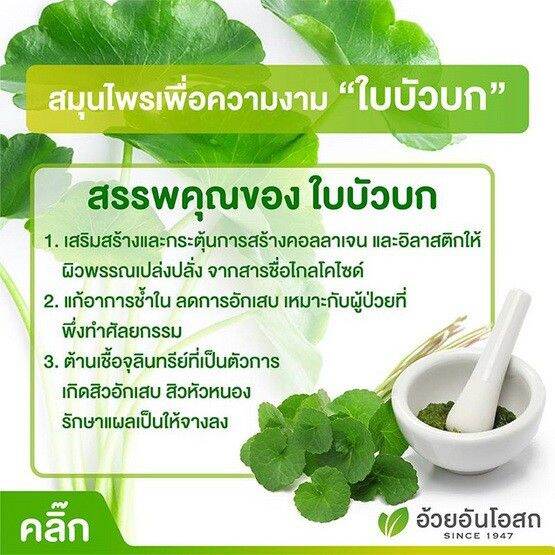 herbal-one-gotu-kola-leaf-extract-ผลิตภัณฑ์เสริมอาหาร-สารสกัดจากใบบัวบก-60-แคปซูล-y2806