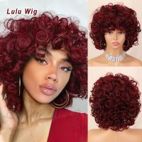 Short Curly Wigs for Black Women Soft Black to Red Big Curly Wig with Bangs Afro Loose Cute Curls Heat Resistant Synthetic Wig Wig  Hair Extensions Pa