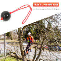 Professional Tree Climbing Arbt Retriever Ball Rope Guide Ring Friction Saver Tool Outdoor Gardening Equipment Black Plastic