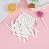 20/80Pcs Plastic Lollipop Stick Safe White Cake Sucker Sticks For Chocolate Sugar Candy Lollypop DIY Mold Bakeware Tool