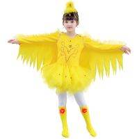 ● Yellow Bird Cartoon Costume