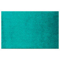 พรมสำหรับแต่งบ้าน พรมปูพื้น พร้อมคุณสมบัติกันลื่น Entrance Mat Teal (NB) ยี่ห้อ Kleentex