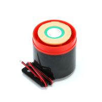 12V 24V 220V High Decibel Active Buzzer Alarm SFB 55 DC 6 220V Sounder Buzzer Horn Alarm For Arduino DIY Electronic SFB 55