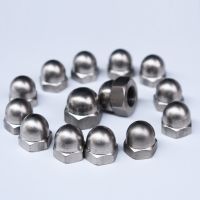 10 buah M3 M4 M5 M6 M8 M10 M12 M16 M20 paduan titanium kepala kubah acorn kepala hexagon mur/mur topi hex/mur dekoratif