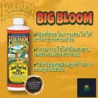 Big Bloom by Fox Farm ปุ๋ยทำใบ ทำดอก (0-0.5-0.7) (Organic 100%)