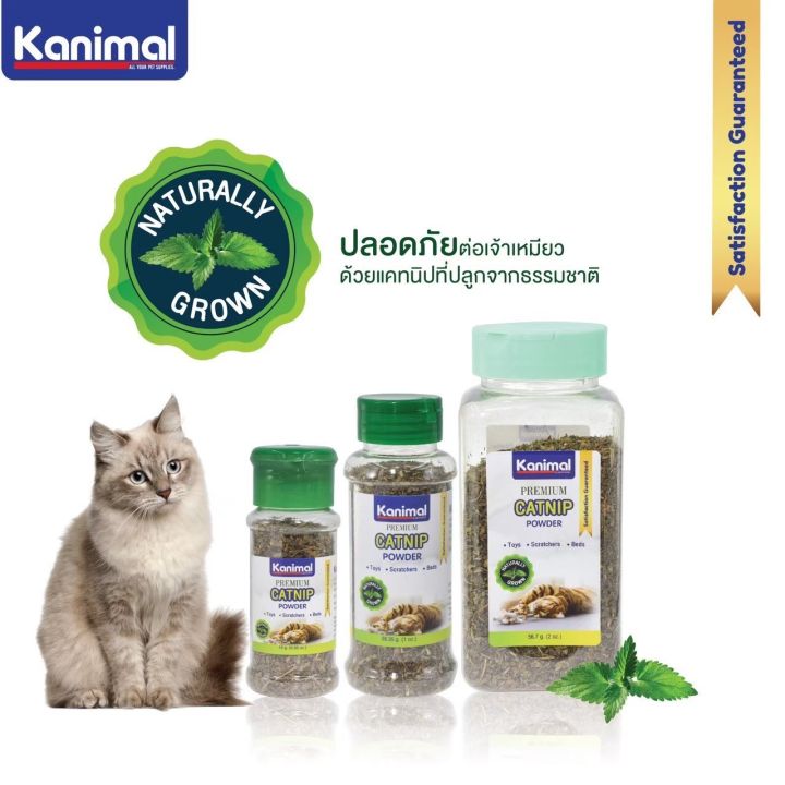 แคทนิปแมว-ผงแคทนิป-catnip-kanimal