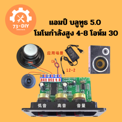 แอมป์ บลูทูธ 5.0 โมโนกำลังสูง 4-8 โอห์ม 30 วัตต์ซับวูฟเฟอร์