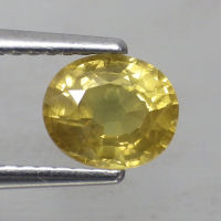 พลอย แซฟไฟร์ บุษราคัม แท้ ธรรมชาติ ( Natural Yellow Sapphire ) 1.35 กะรัต