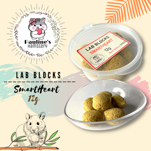 Lab Blocks Hamster Treats 12g (Smart Heart) Lazada PH