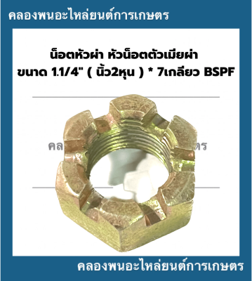 น็อตหัวผ่า หัวน็อตตัวเมียผ่า 1.1/4" ( นิ้ว2หุน ) * 7เกลียว BSPF น็อตหัวผ่าหุน น๊อตหัวผ่านิ้ว2หุน น็อตตัวเมียนิ้ว2หุน น็อตตัวเมียนิ้ว2หุน