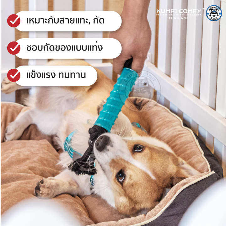 แท่งกัดเล่น-ของเล่นสุนัข-chew-stick-rope-kumfi-comfy-จากตัวแทนจำหน่ายอย่างเป็นทางการ-เจ้าเดียวในประเทศไทย