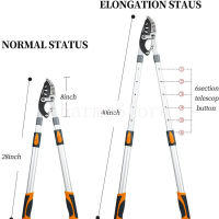 [Charmo] SK5 กรรไกรตัดกิ่งไม้ ยืดหดได้ ด้ามยาว ตัดกิ่งไม้สูง กรรไกรตัดกิ่งไม้หนาตัดต้นไม้สูงให้มีความสูงมากเพื่อตัดแต่งกิ่ง กรรไกรแต่งกิ่ง solo กรรไกรตัดกิ่ง ตัดกิ่งไม้ ด้ามยาว ปรับความยาว68-105cm.6ระดับๆละ7cm.ใบมีดคม