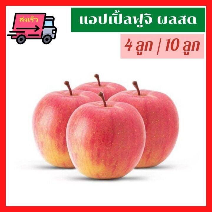 🚚ส่งเร็ว ผลไม้สด 4ลูก/10ลูก แอปเปิ้ลผลสด FUJI APPLE แอปเปิลฟูจิ แอป