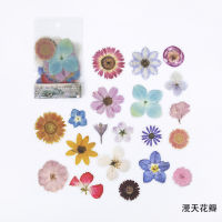 40pcsbag Vintage Ginkgo leaves flowers PET sticker package DIY diary decoration sticker album scrapbooking