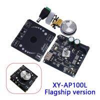 XY-AP100L 100WX2 Bluetooth 5.0 Stereo Amplifier Board AUX USB Sound Card Digital Power Amp Amplificador DC 12V 24V