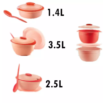 Ready Stock!! Tupperware Insulated Server Coral