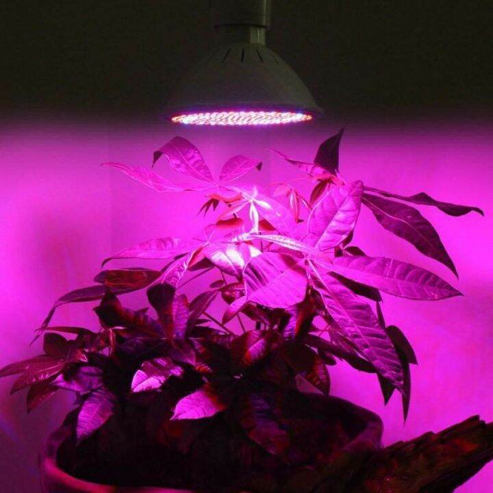 โปรโมชั่น-คุ้มค่า-e27-โคมไฟปลูกต้นไม้-หลอดไฟปลูกต้นไม้-led-grow-light-full-spectrum-ไฟส่องต้นไม้-ไฟปลูกพืช-ไฟเลี้ยงต้นไม้-เต้นปลูกต้นไม้-ราคาสุดคุ้ม-หลอด-ไฟ-หลอดไฟตกแต่ง-หลอดไฟบ้าน-หลอดไฟพลังแดด