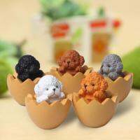 ตกแต่งภูมิทัศน์ 5 ชิ้นตุ๊กตาสุนัข Miniature น่ารัก Eggshell Poodle PVC Solid ชุดเครื่องประดับสวน Art ตุ๊กตาสัตว์ M-gnxk