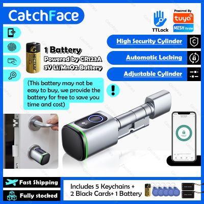 ซาอุดีอาระเบียยูโร Tuya APP ลายนิ้วมือ RFID การ์ด DIY กระบอกล็อค Biometric Electronic Smart Door Lock Digital Keyless Replace