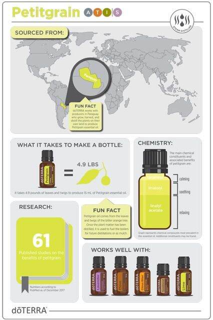 petitgrain-citrus-aurantium-น้ําหอมผู้ชาย-น้ําหอมแท้-น้ําหอมธรรมชาติ-น้ำมันหอมระเหย-น้ํามันหอม-น้ํามันหอมระเหยบ