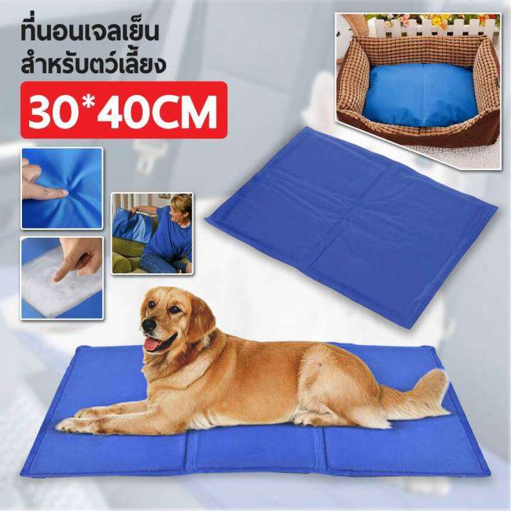 homemart-shop-pet-cool-mat-ที่นอนเจลเย็นสำหรับสัตว์เลี้ยง-แผ่นเจลเย็น-แผ่นระบายความร้อน