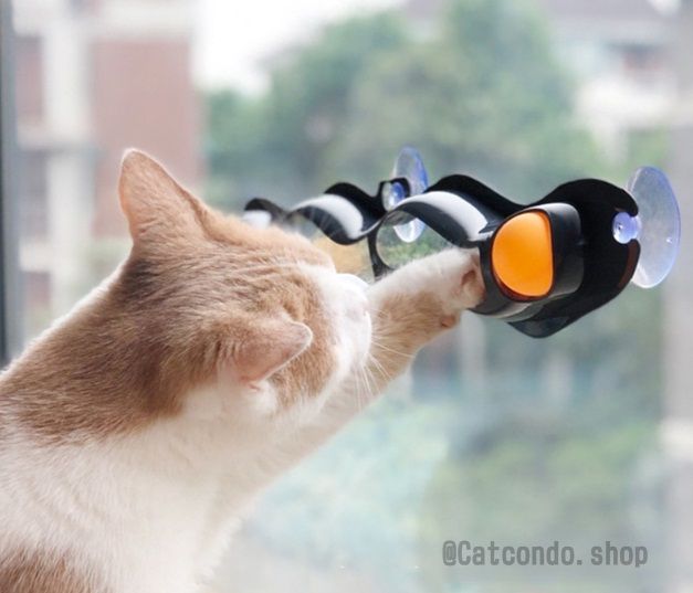 ของเล่นแมว-รางบอลแมว-ลูกบอลแมว-ลูกบอลล่อแมว-รางบอลติดกระจก