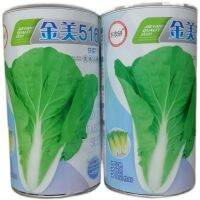 generation fast-growing vegetable heat-resistant and rain-resistant bolting-resistant cabbage rapeseed autumn summer